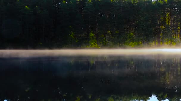 Mist en stoom over de bos en meer reflectie van bomen in water — Stockvideo
