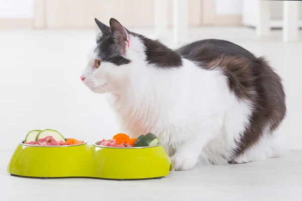 Katze frisst natürliches Futter aus einer Schüssel — Stockfoto