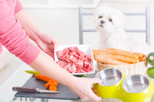 Zubereitung natürlicher Nahrung für Haustiere — Stockfoto