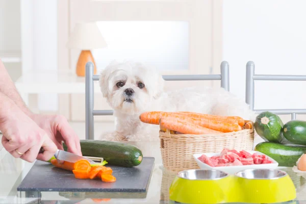 Preparação de alimentos naturais para animais de estimação — Fotografia de Stock