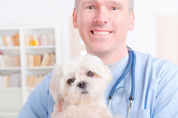 Счастливый ветеринар держит маленькую собаку
