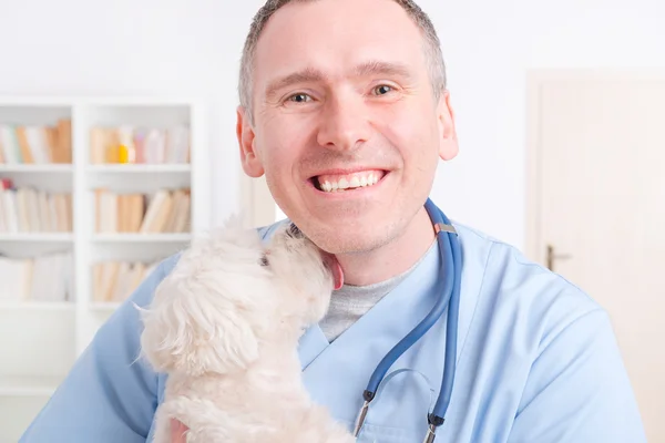 Veterinário feliz segurando um cachorrinho — Fotografia de Stock