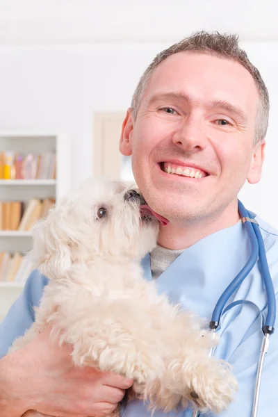 Happy vet holding a little dog — Stock Photo, Image