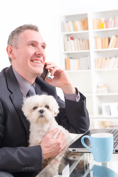 Arbetar med hund på kontoret — Stockfoto