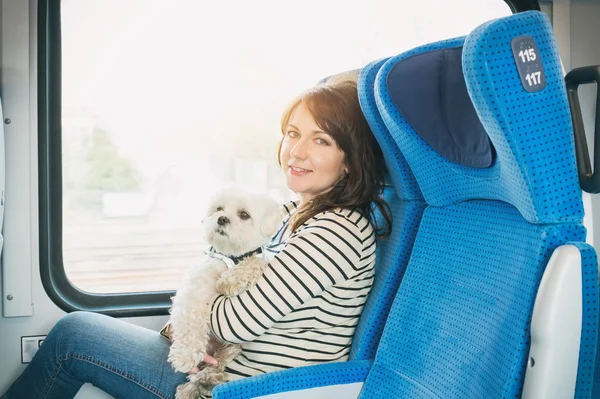 Собака путешествует на поезде — стоковое фото