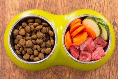 Doğal ve kuru köpek gıda