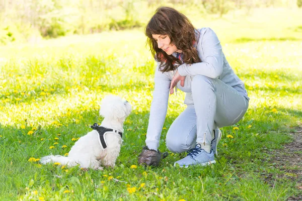 Raccogliere cacca di cane — Foto Stock