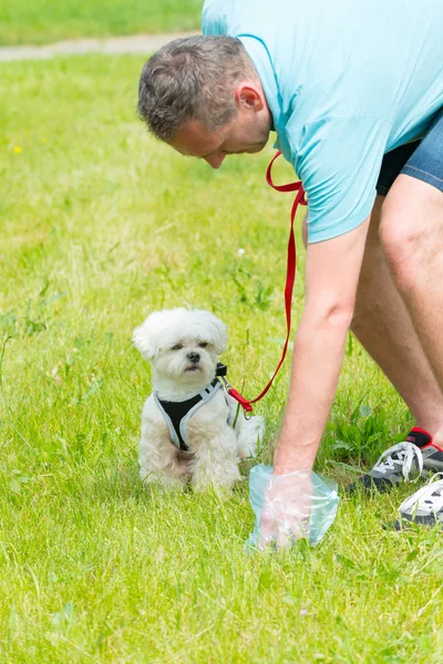 Recogiendo caca de perro — Foto de Stock