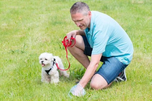 Recogiendo caca de perro — Foto de Stock