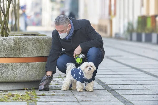 Reifer Mann Mit Schutzmaske Sammelt Hundehaufen Einer Tüte Ein Während — Stockfoto