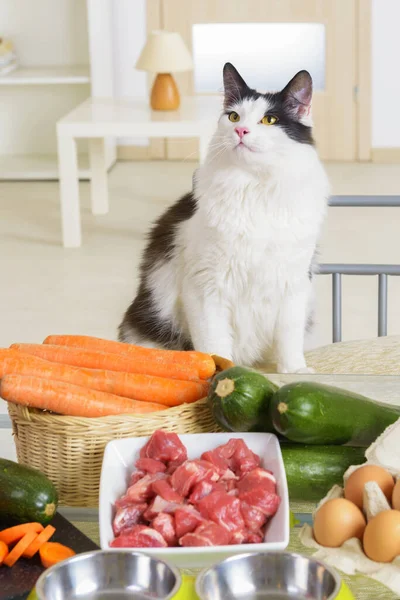 Preparación Alimentos Naturales Naturales Orgánicos Para Mascotas Hogar — Foto de Stock