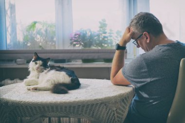 Bekar adam yalnızlık ya da depresyondan muzdarip, arkadaş olarak bir kedi. Adam masanın oturma odasında oturuyor.