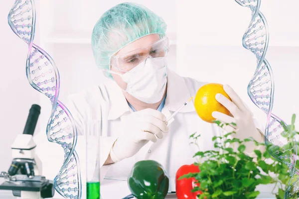 Researcher Gmo Plants Genetically Modified Organism Geo Plant Whose Genetic — Stock Photo, Image