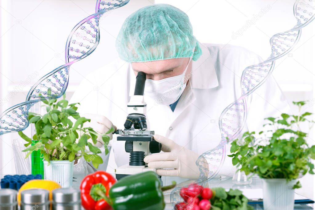 Researcher with GMO plants. Genetically modified organism or GEO is a plant whose genetic material has been altered using genetic engineering techniques