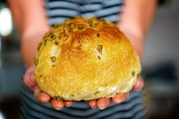 Pão Tradicional Ciabatta Italiano Caseiro Com Azeitonas Nas Mãos Padeiro — Fotografia de Stock