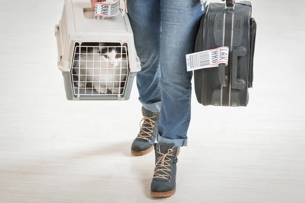 Kat Luchtvaartmaatschappij Cargo Pet Carrier Wachten Luchthaven Een Lange Reis — Stockfoto