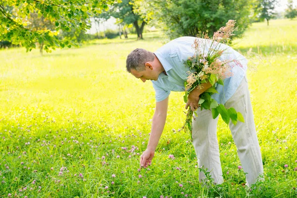 Herbalist — Stock Photo, Image