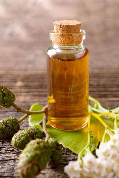 Pure essential oil — Stock Photo, Image