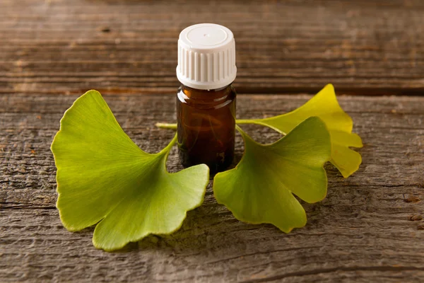 Gonkgo leaves and extract — Stock Photo, Image