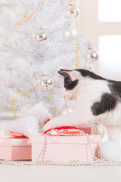 Pequeno gato brincando com enfeites de árvore de Natal — Fotografia de Stock