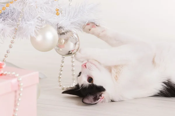 Pequeño gato jugando con adornos de árbol de Navidad — Foto de Stock