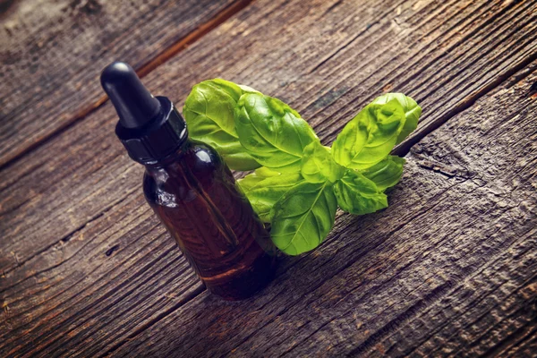 Basil oil — Stock Photo, Image