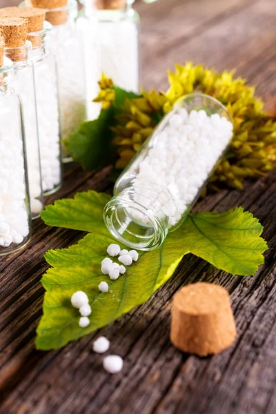 Homeopathic globules on leaf — Stock Photo, Image