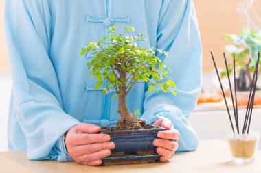 Bonsai ağacı elleriyle