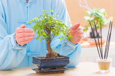 Woman with bonsai tree clipart
