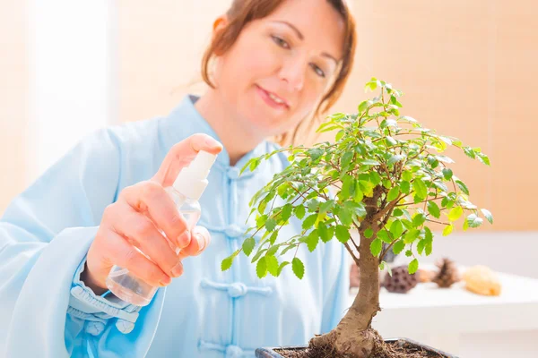 Kvinna vattna bonsai träd — Stockfoto
