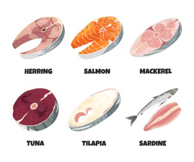 Çiğ balık bifteği koleksiyonu beyaza izole edilmiş. Gerçekçi alabalık, ringa balığı, sardalya, uskumru, ton balığı, tilapia filetosu, omega soslu deniz ürünleri, tasarım elementi. Vektör çizgi film düz illüstrasyon