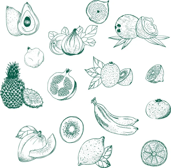 Frutas Conjunto Ilustraciones Vectoriales — Archivo Imágenes Vectoriales