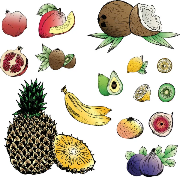 Frutas Conjunto Ilustraciones Vectoriales — Archivo Imágenes Vectoriales