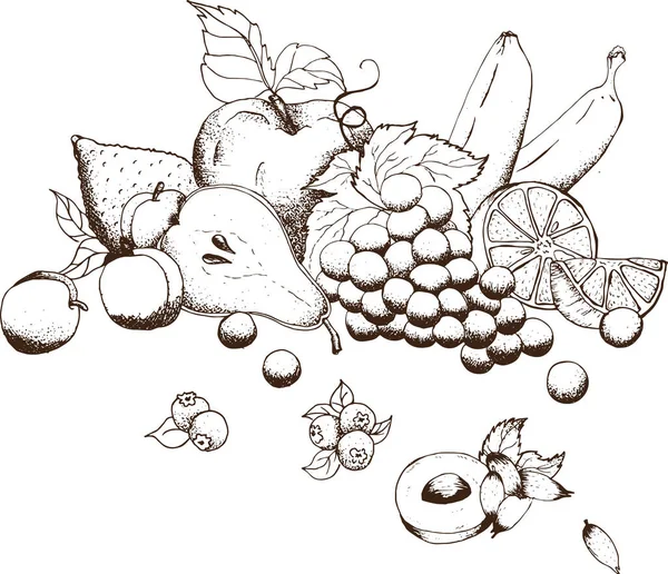 Cosecha Frutas Bayas Jugosas Ilustración Vectorial Aislada Blanco — Archivo Imágenes Vectoriales