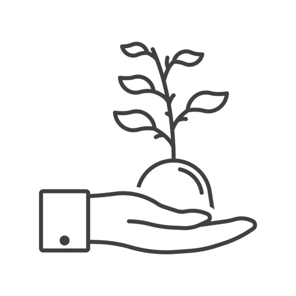 Εικονίδιο ανάπτυξης φυτών σε ανθρώπινα χέρια. Φυτρώνουν στο χέρι. Απλή γραμμική εικόνα. Μεμονωμένο διάνυσμα σε λευκό φόντο. — Διανυσματικό Αρχείο