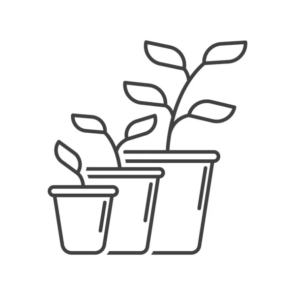 Ανάπτυξη φυτών και εικονίδιο ανάπτυξης. Απλή γραμμική απεικόνιση των σταδίων ανάπτυξης και αλλαγή γλάστρας. Μεμονωμένο διάνυσμα σε λευκό φόντο. — Διανυσματικό Αρχείο