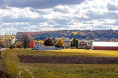 Michigan 'ın Yukarı Yarımadasında sonbahar