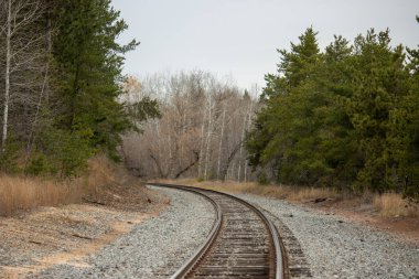 Ormanda demiryolu rayları