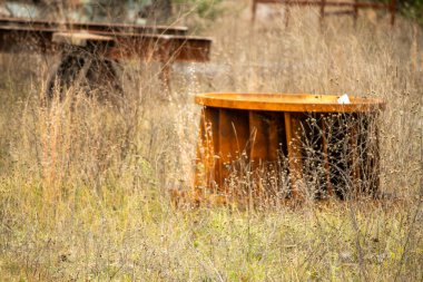 Parktaki tahta kutu.