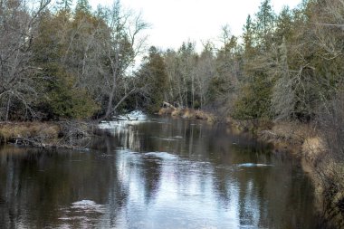 Sonbahar ormanında bir nehir