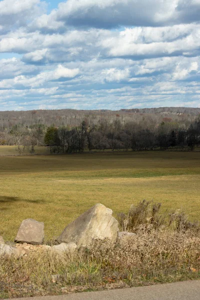 Bir alanın dikey çekimi ve arka planda ağaçlar