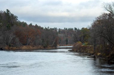 Ormanda küçük bir nehir.