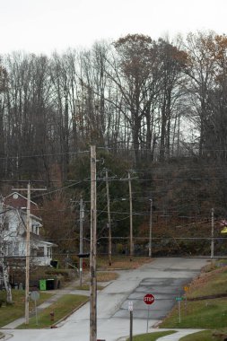 Ağaçları ve elektrik hatları olan küçük bir kasabada yol