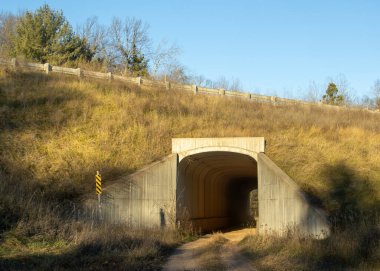 Tünel ve ormanlı yol