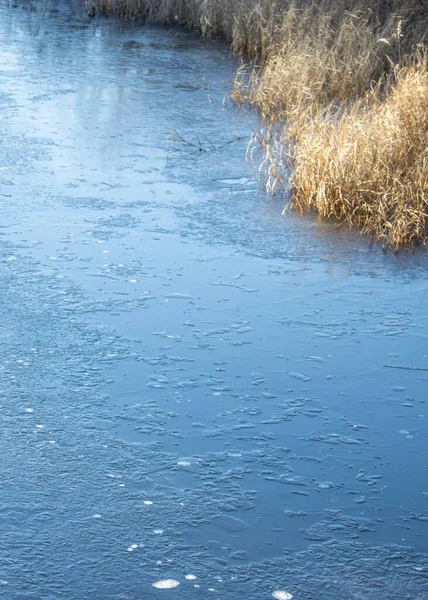 Nehirde yüzen buz kütlesi buz