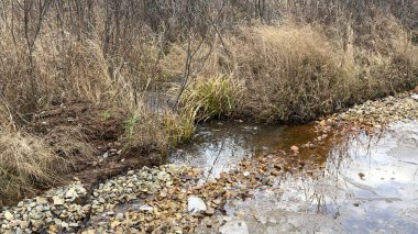 Water flowing across the trail from a small stream