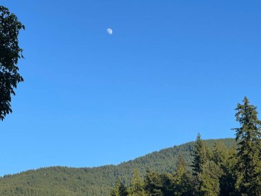 Dağlardaki ormanın güzel manzarası Ayın en yüksek olduğu açık mavi gökyüzü