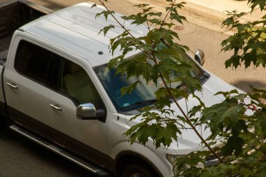 car parked in the park