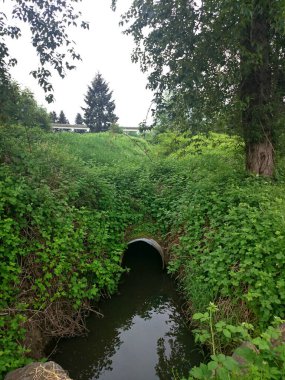 Otoyolun altından geçen bir dere, bir kanaldan geçiyor.
