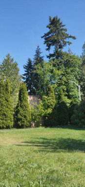 Baharda güzel bir bahçe.